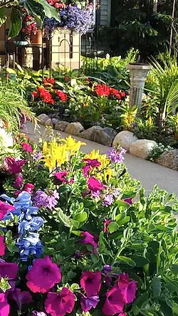 Gardening Services in Minnetonka MN