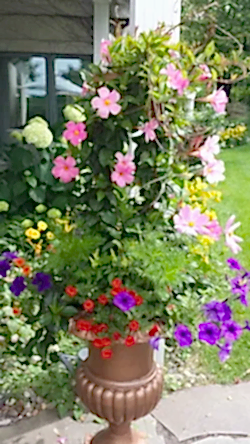 Summer Gardening Container in Minnetonka MN