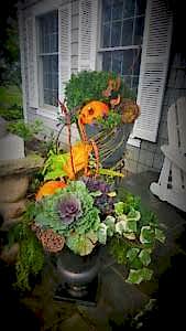 fall jeff