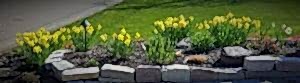 spring jeff 3